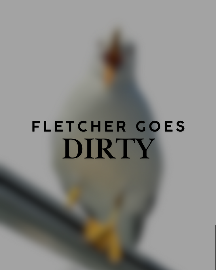 Fletcher goes dirty