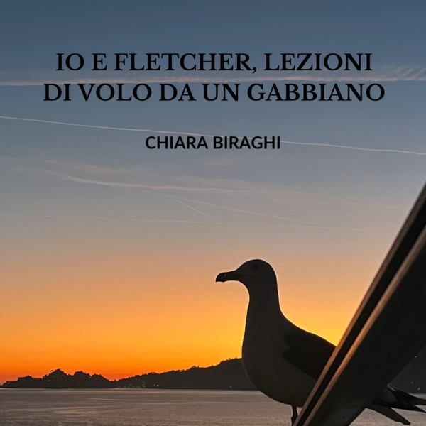 Io e Fletcher, lezioni di volo da un gabbiano